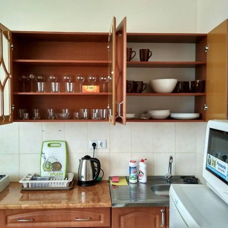 Apartments Domovik Просторная Квартира С Видом На Горы Mukatschewo Exterior foto