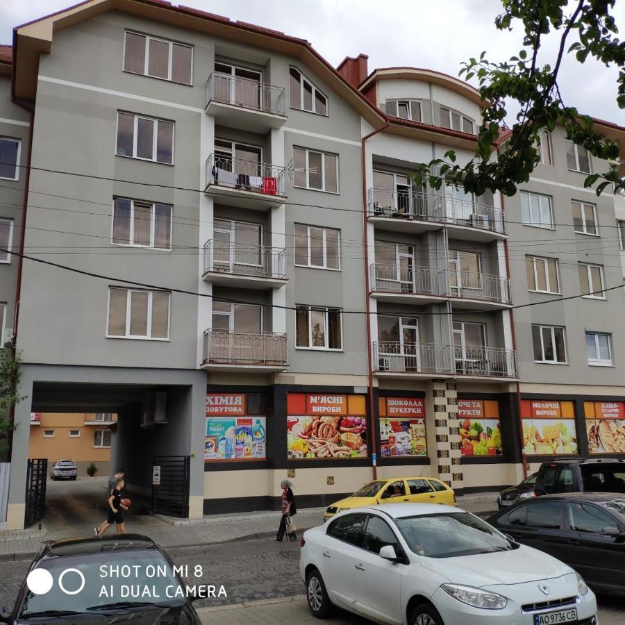 Apartments Domovik Просторная Квартира С Видом На Горы Mukatschewo Exterior foto